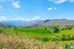 Peru Reisfelder